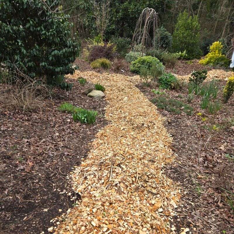 Wood Chip Woodland Trail