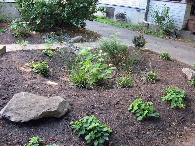 Use Mulch To Absorb Excess Moisture And Protect Soil