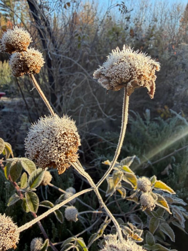 Time And Labor Savings During Busy Fall Season