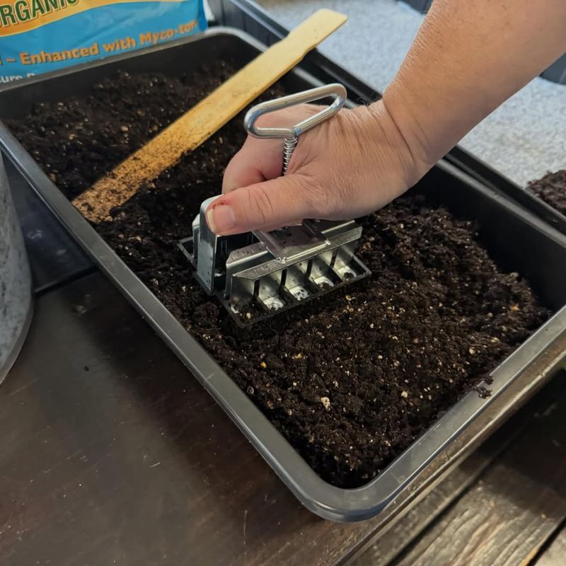 Opportunity To Grow Heat-Loving Vegetables