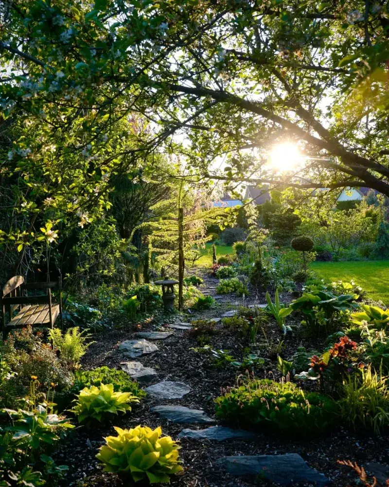 Designing Landscapes For Shade And Cooling