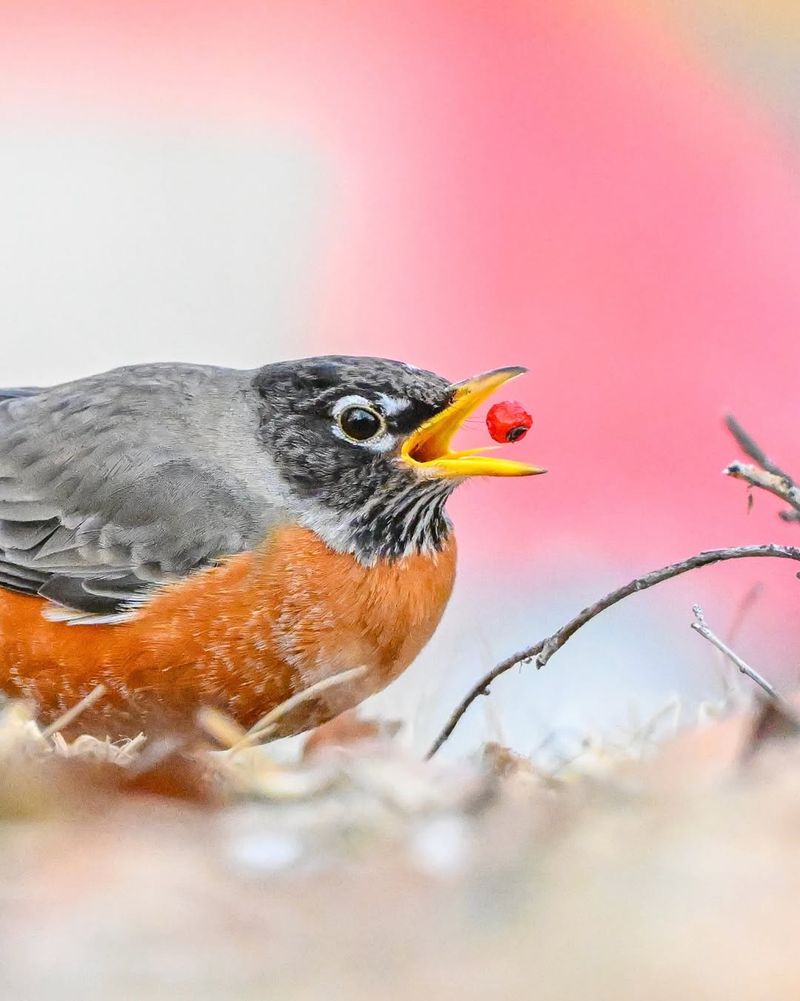 Seasonal Changes That Help Year-Round