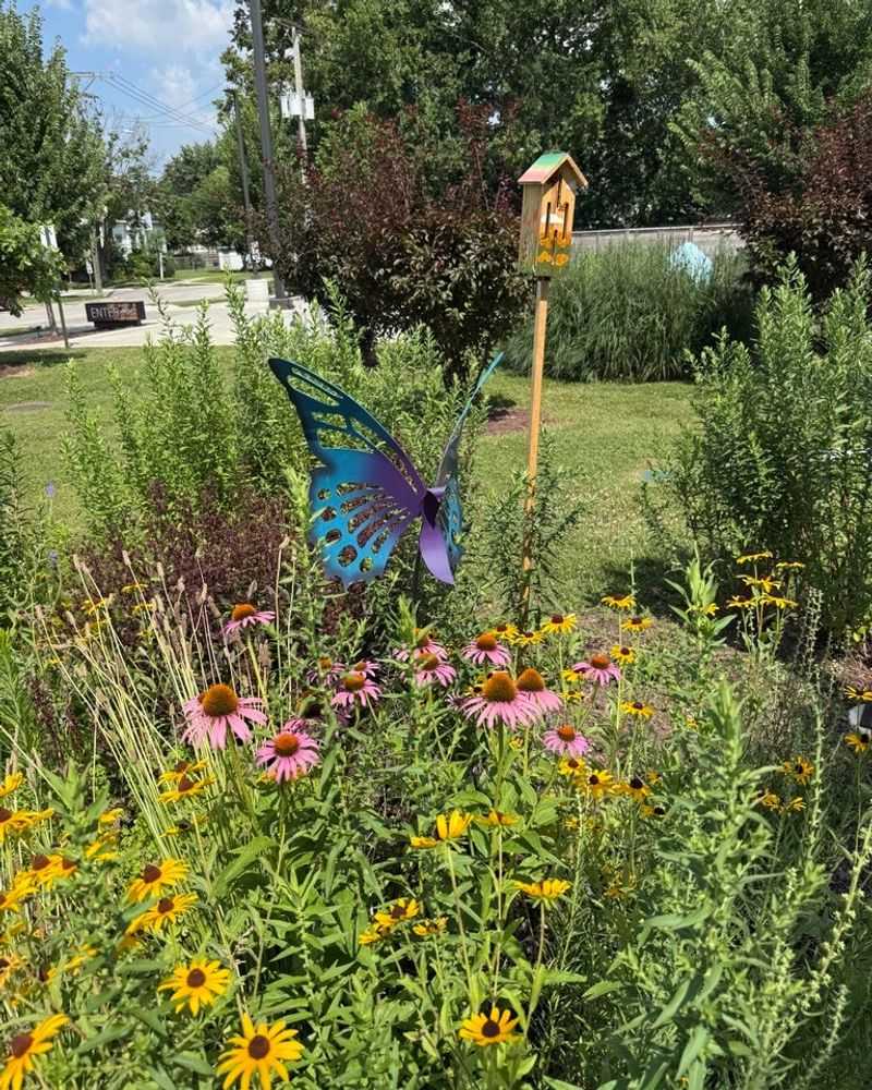 Educational Opportunities For Kids