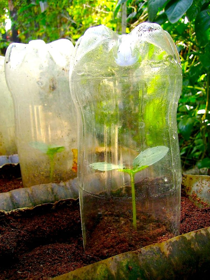 Recycled Plastic Bottle Cloches