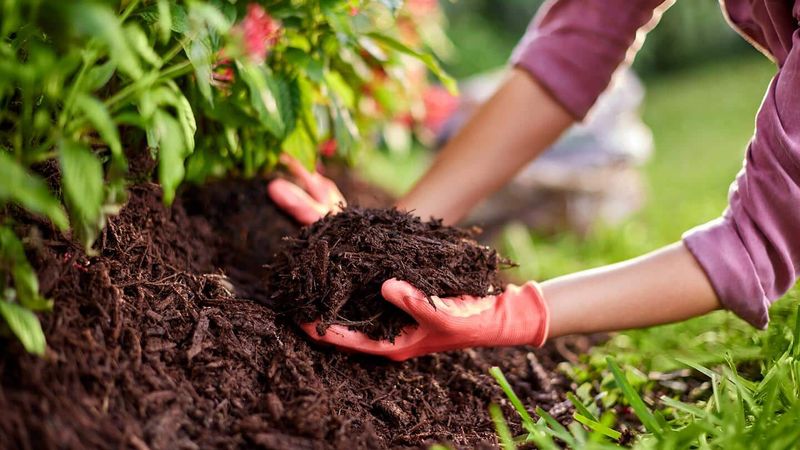 Match Mulch Color And Texture To Your Garden Style
