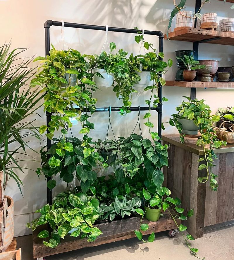 Bring Nature Inside With A Living Wall Or Plant Shelf