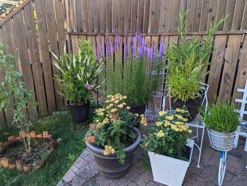 Managing Temperature Swings On Patios