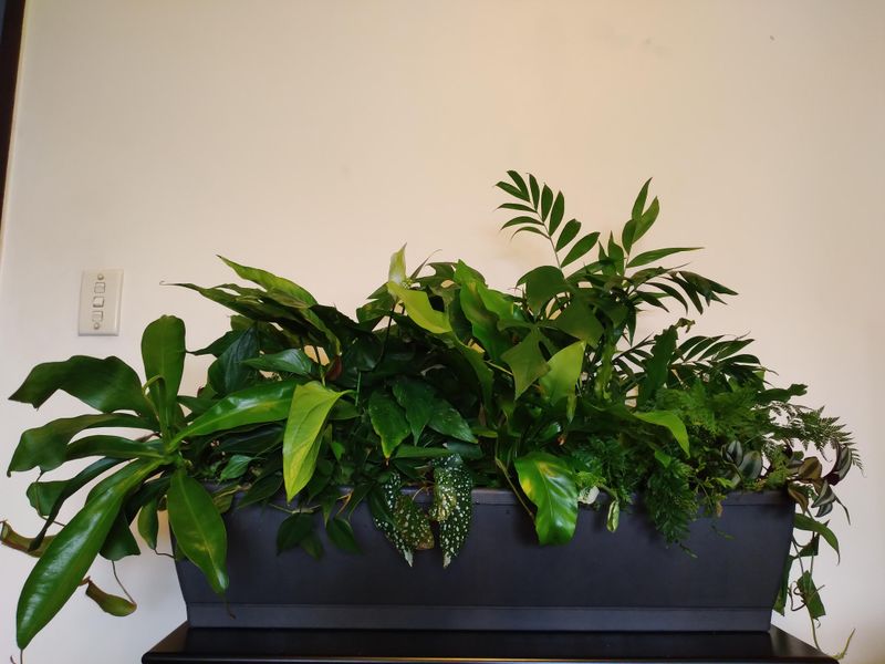 Grouping Plants To Create One Calm Visual Anchor