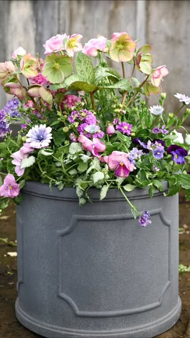 Swapping Out Tired Plants For Strong Performers