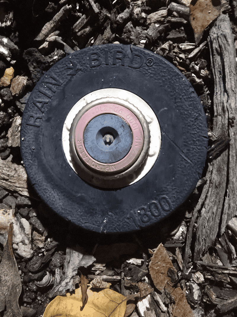 How To Adjust Sprinklers For The Season