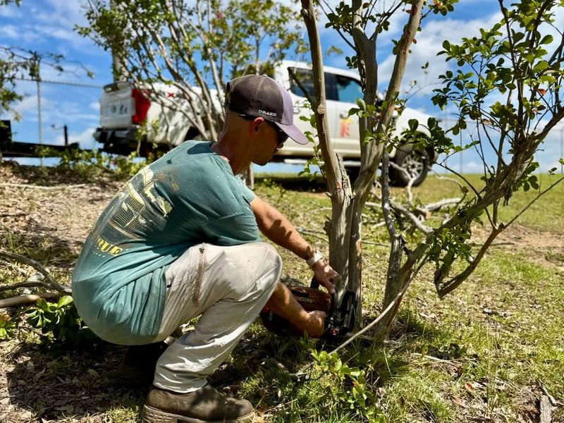 What Proper Timing Looks Like In Your Landscape