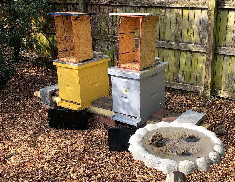 Maintain Proper Distance From Property Lines