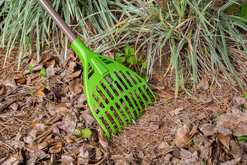 Sturdy Garden Rake