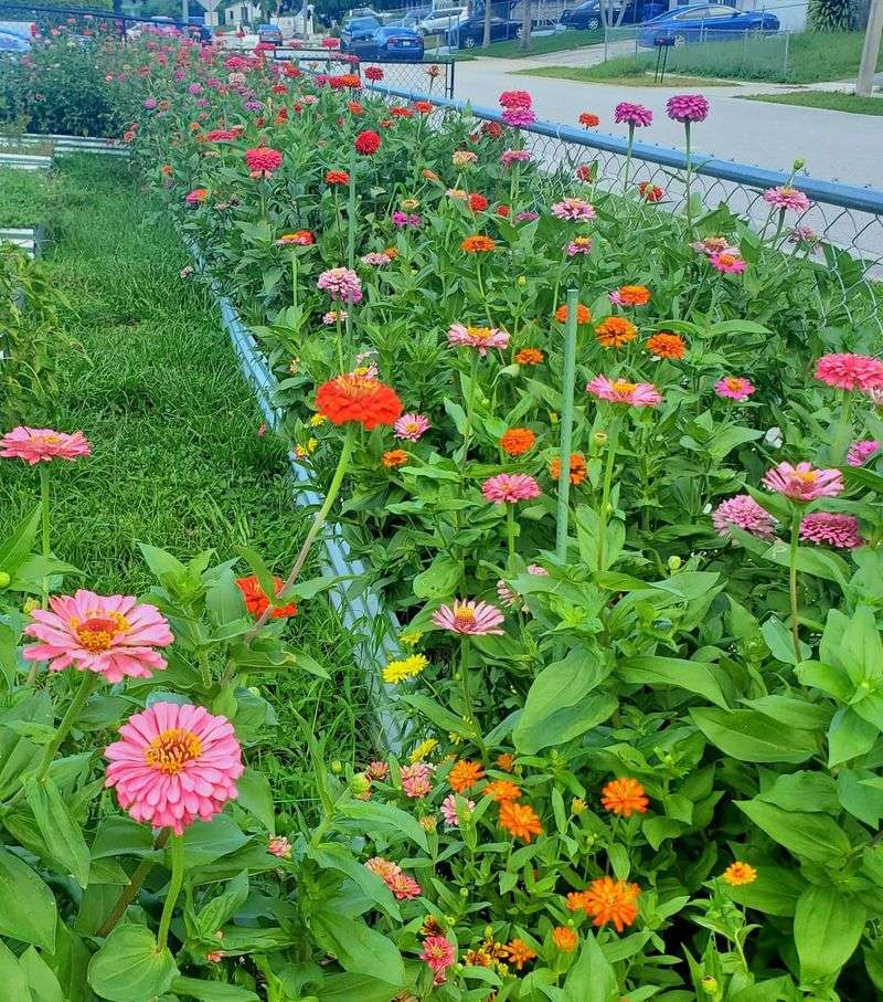 Forgetting Seasonal Changes