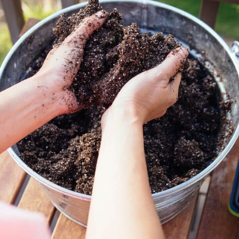 Using Garden Soil In Containers Instead Of Potting Mix