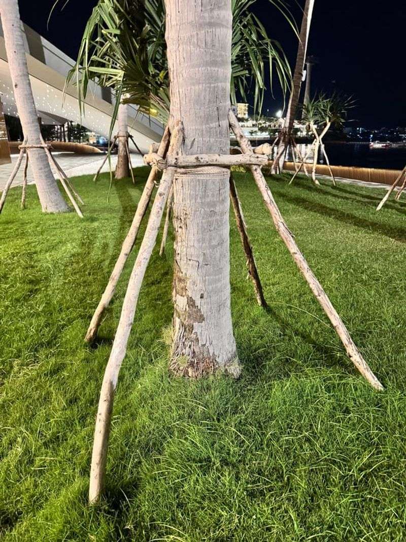 Use Proper Support Stakes