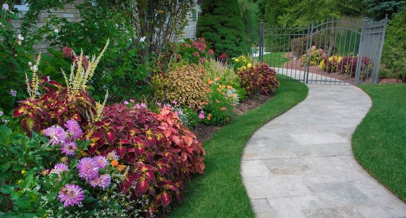 Add Seasonal Color With Flowers