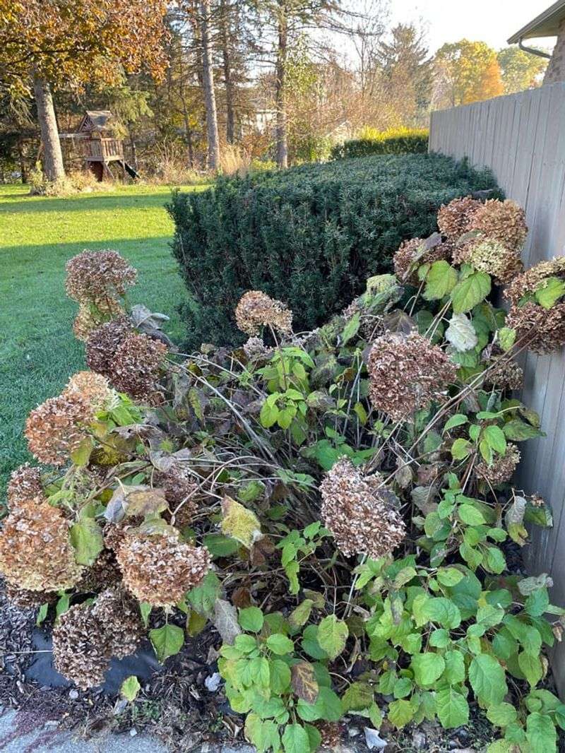 Shape And Thin For Airflow