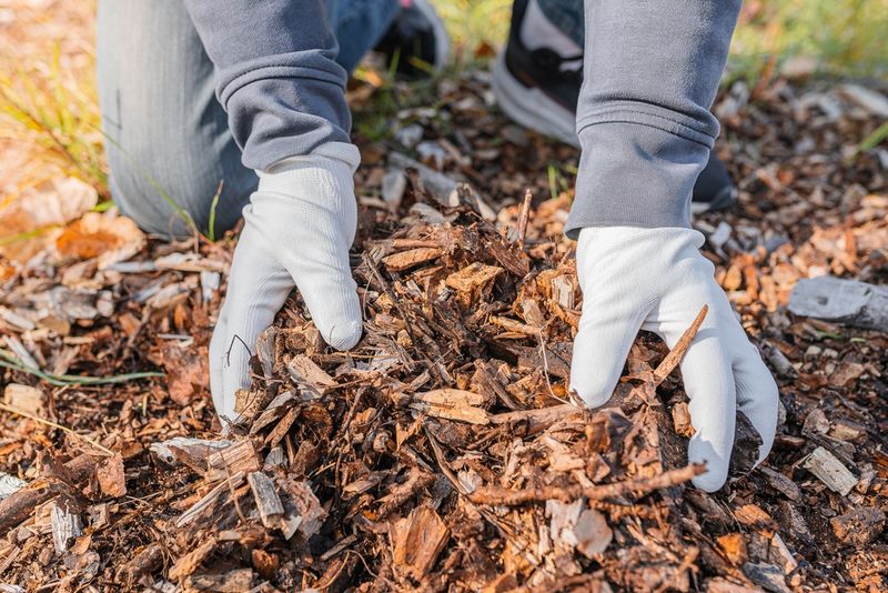 Apply Mulch Strategically To Protect Beds From Freeze-Thaw Damage