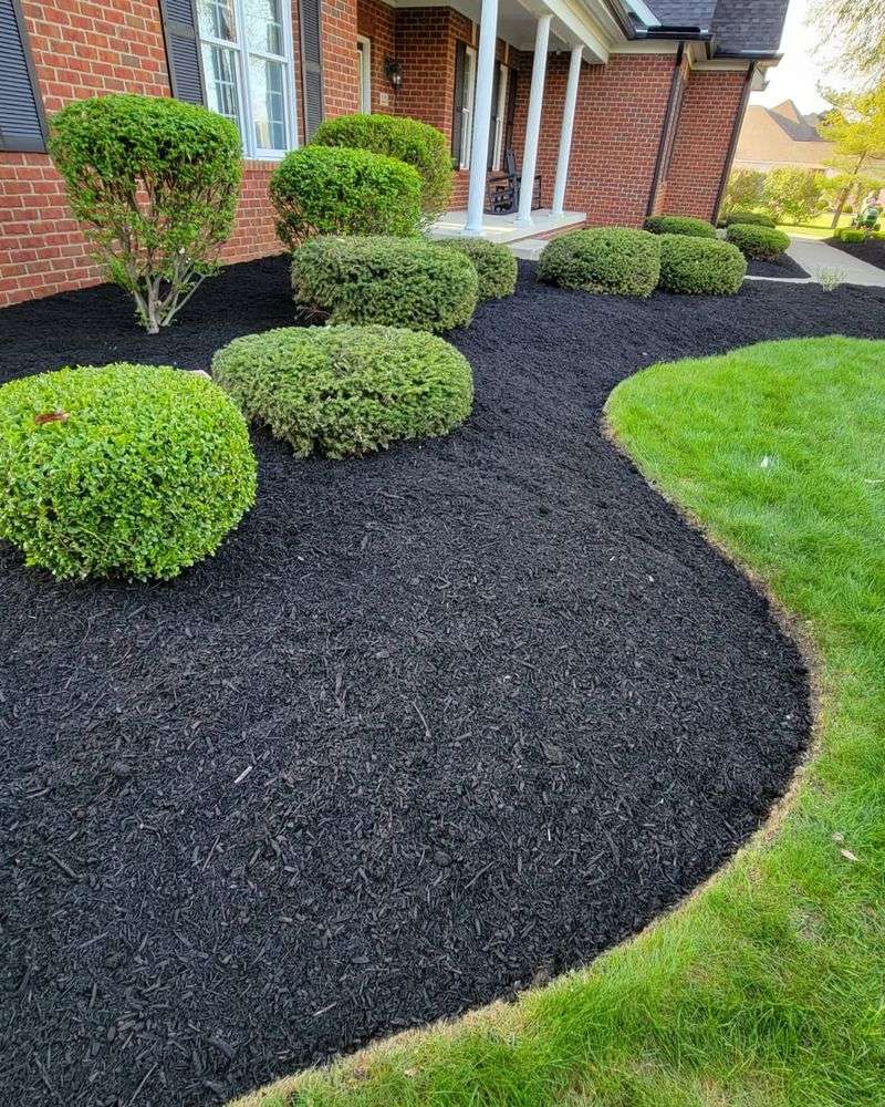 Apply Mulch To Protect Perennials And Soil