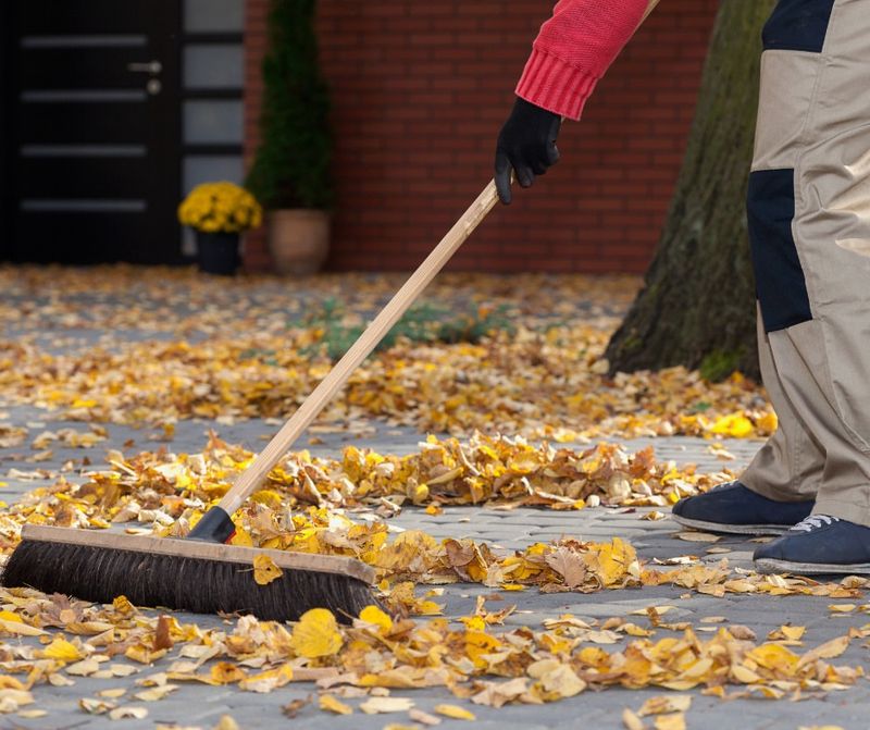 Clear Fallen Leaves