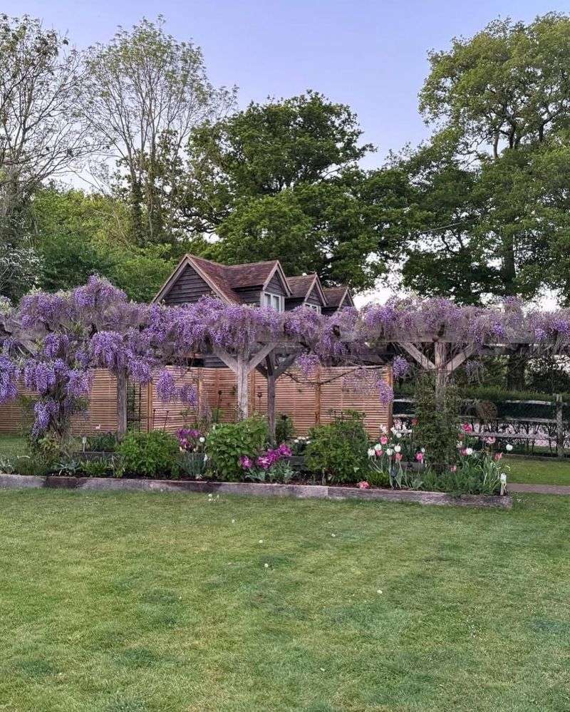 Focus On Shape Before You Focus On Length