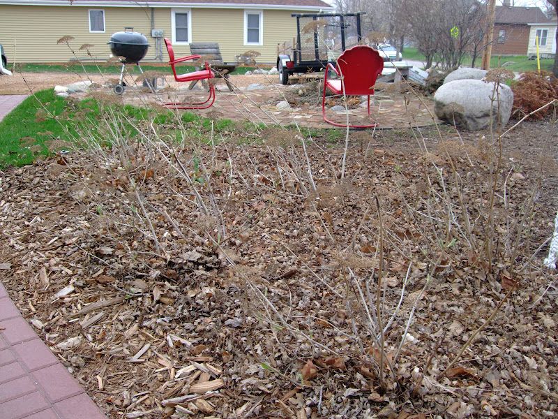 Clear Debris Around The Base