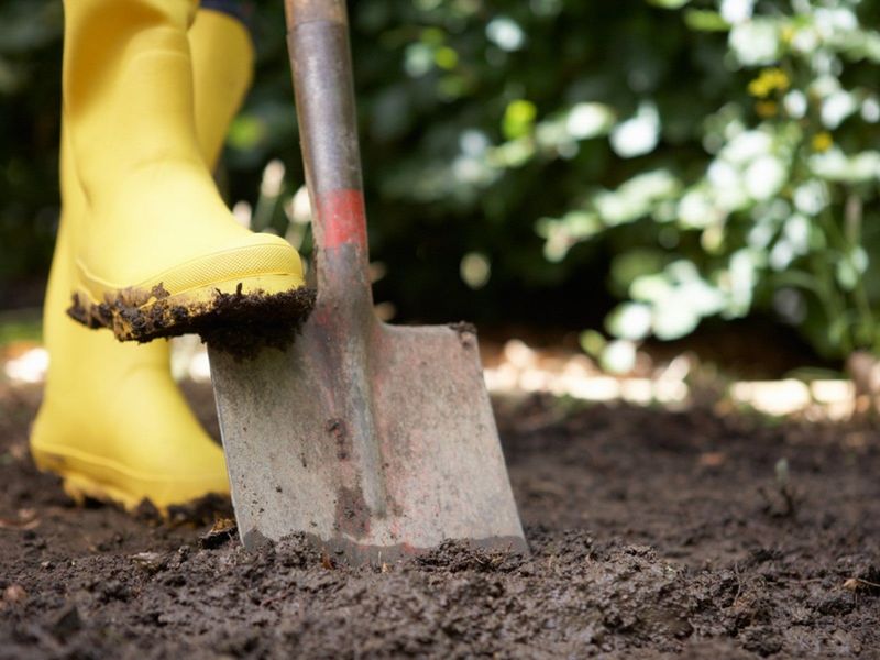 Tilling Or Digging Beds During Wet Weather