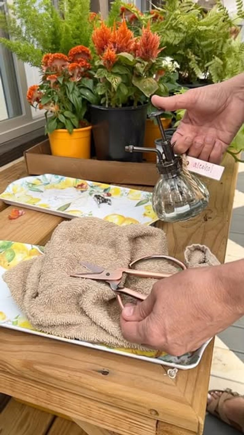 Using Dull Or Dirty Tools