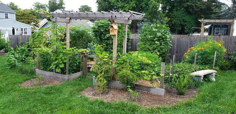 Plan Your Planting Layout