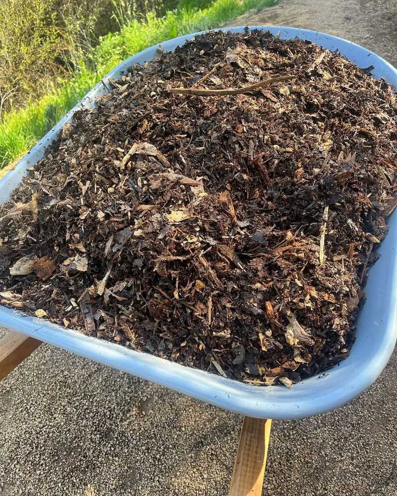 Mulch Deeply To Lock In Moisture And Suppress Weeds