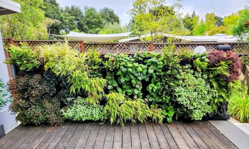 Use Vertical Space To Grow More In Small Gardens