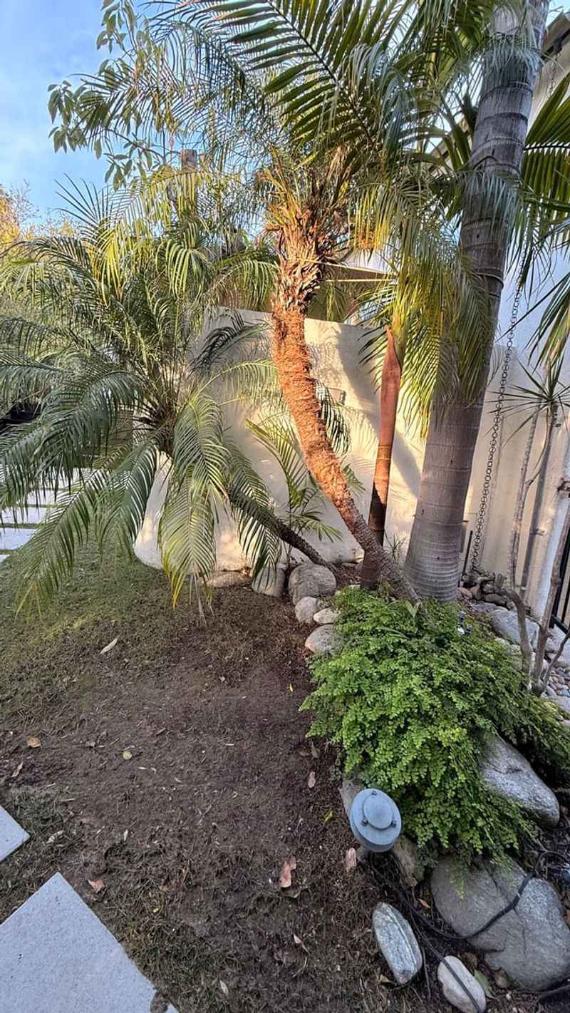 Adjust Irrigation Practices