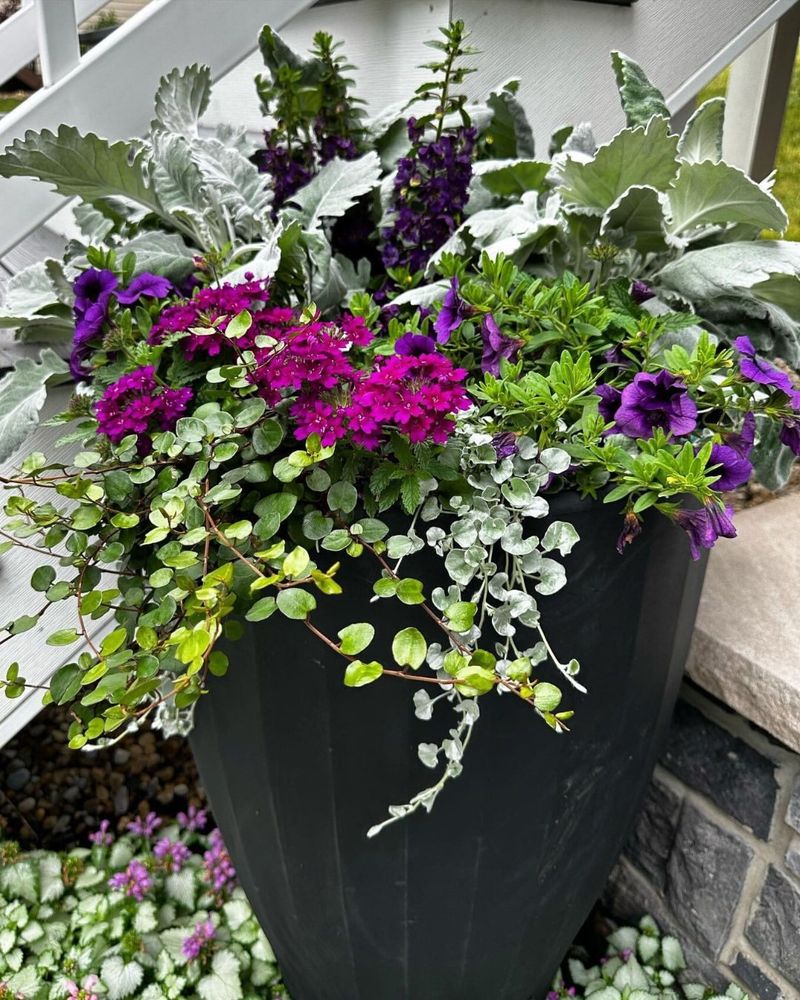 Cleaning Containers To Reset Growing Conditions