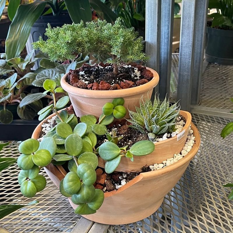 Convert Broken Pots Into Layered Planters