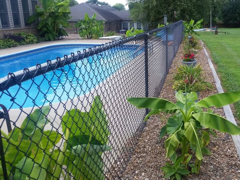 Pool Enclosure Fences