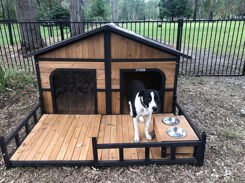 Large Dog Kennels