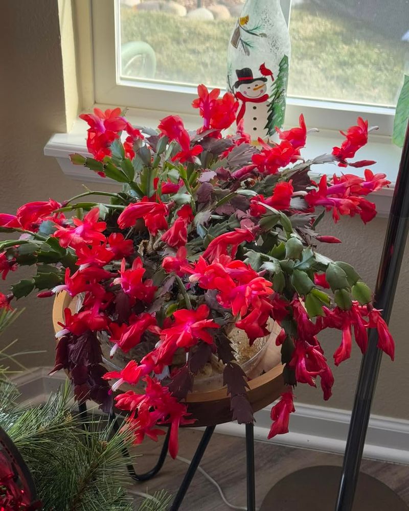 Why This Works Especially Well In Oregon Homes