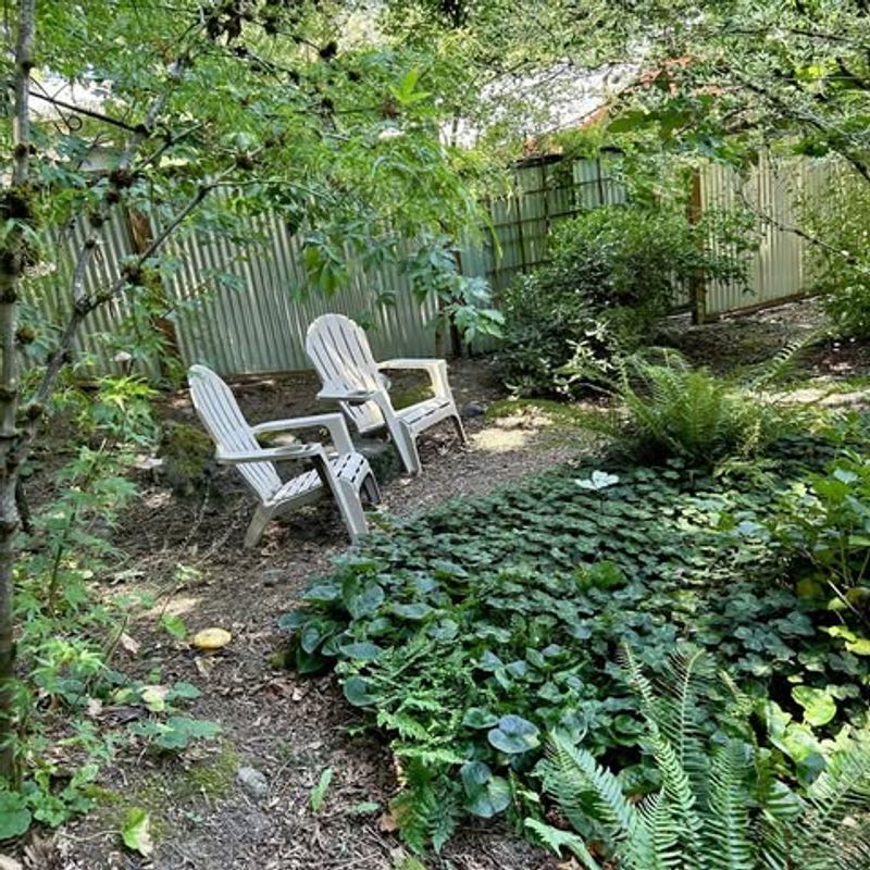 Shade Gardens Embrace Woodland Beauty