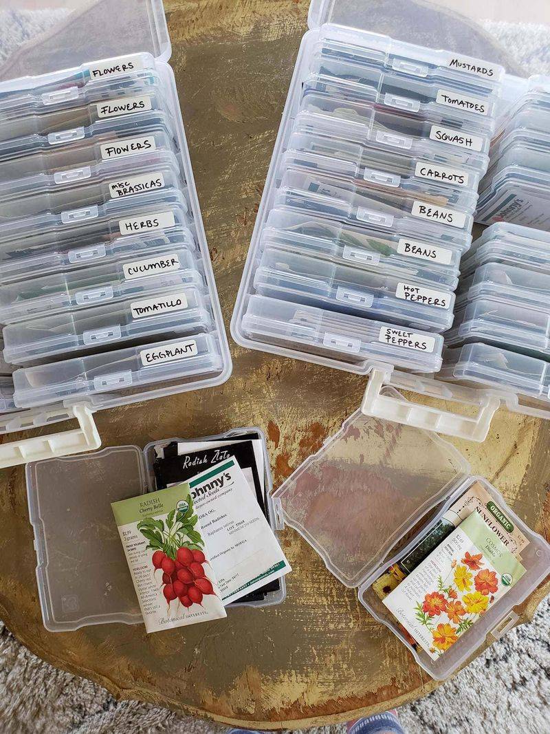Seed And Bulb Organizer