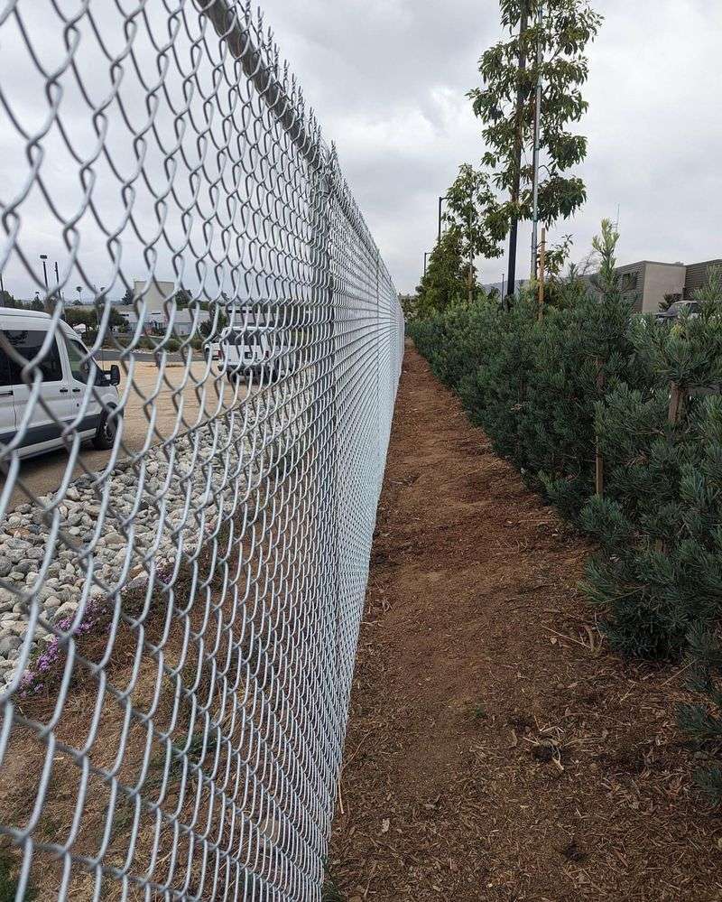 Fences Over Six Feet Tall