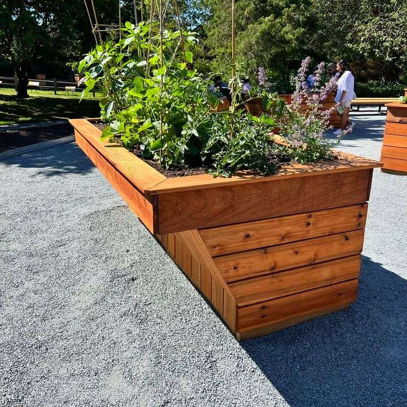 Maintenance And Accessibility