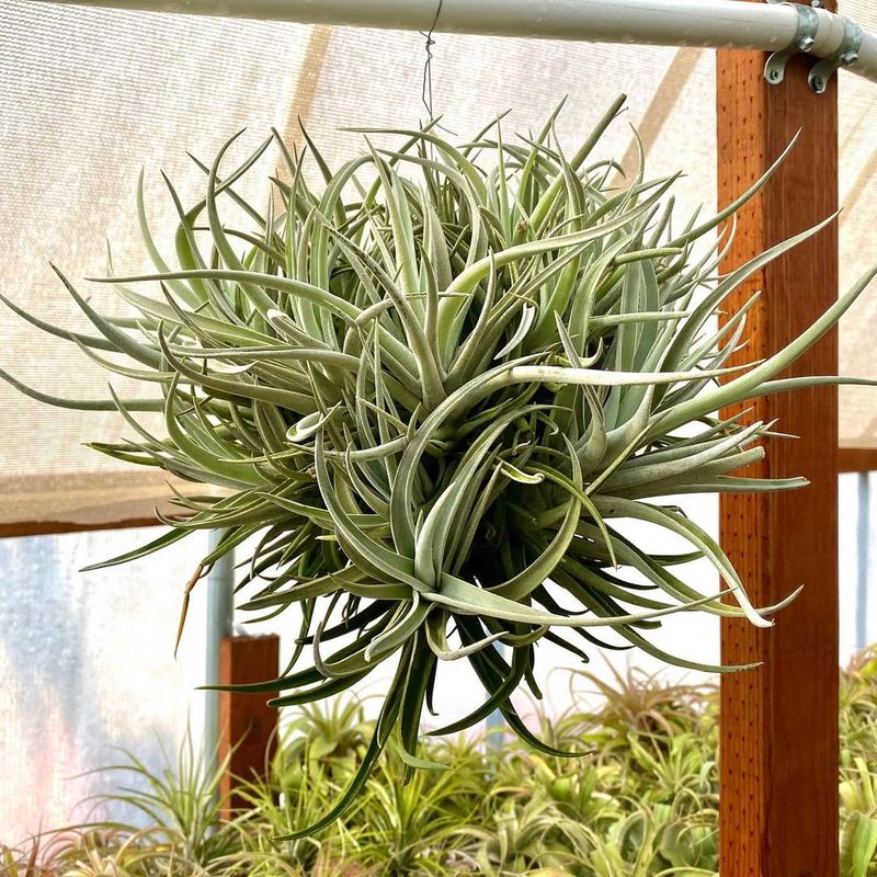 Proper Air Circulation