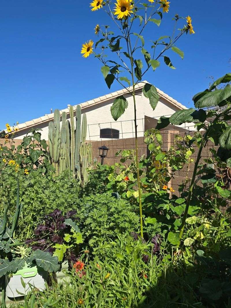 Plants Miss Their Natural Spring Adjustment Period