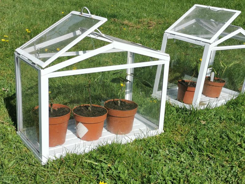 Humidity Levels Support Healthier Early Development