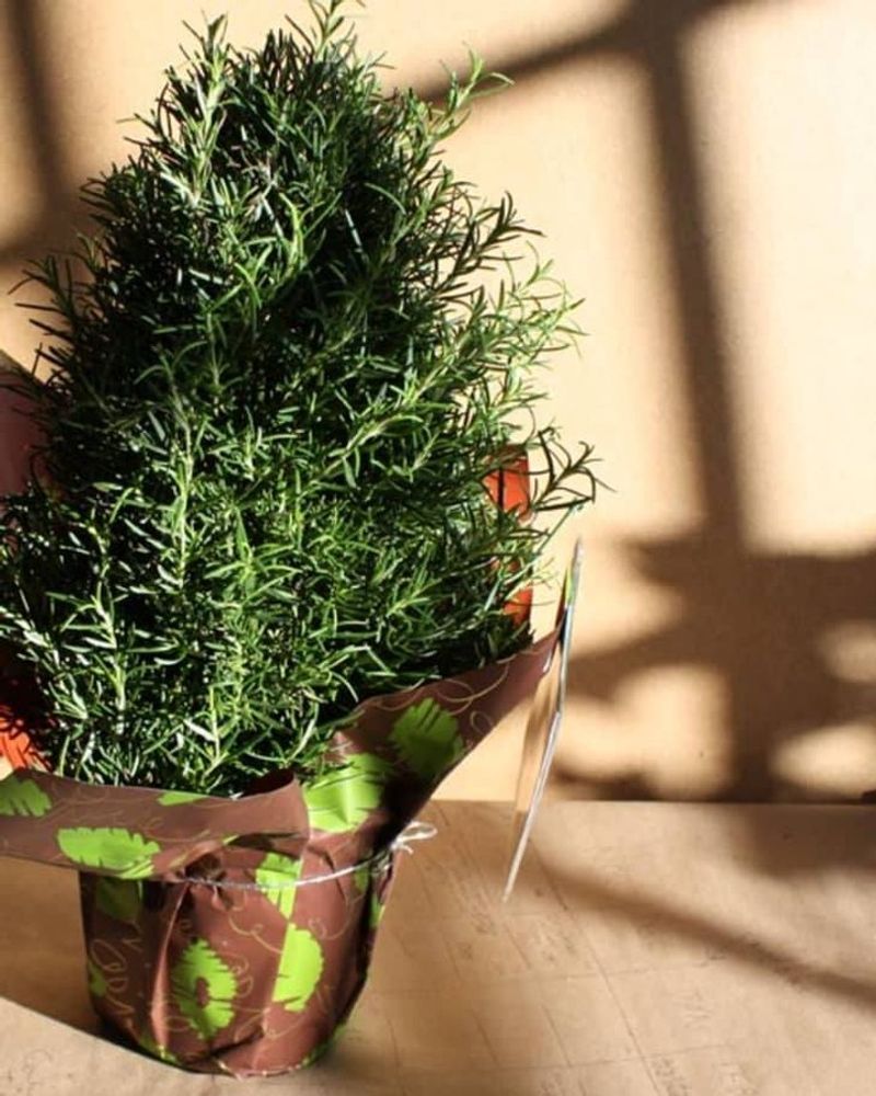 It Fits Both Modern And Cottage-Style Homes