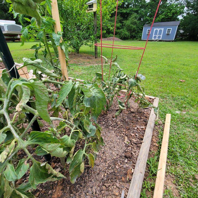 Watch For Early Warning Signs Before Damage Spreads