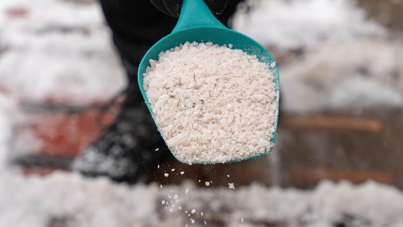 Salt Creates Long-Term Toxicity That Persists Through Growing Seasons