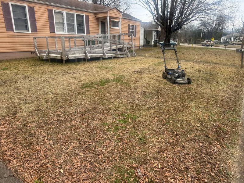 Lawns Near Roads Are Especially Vulnerable