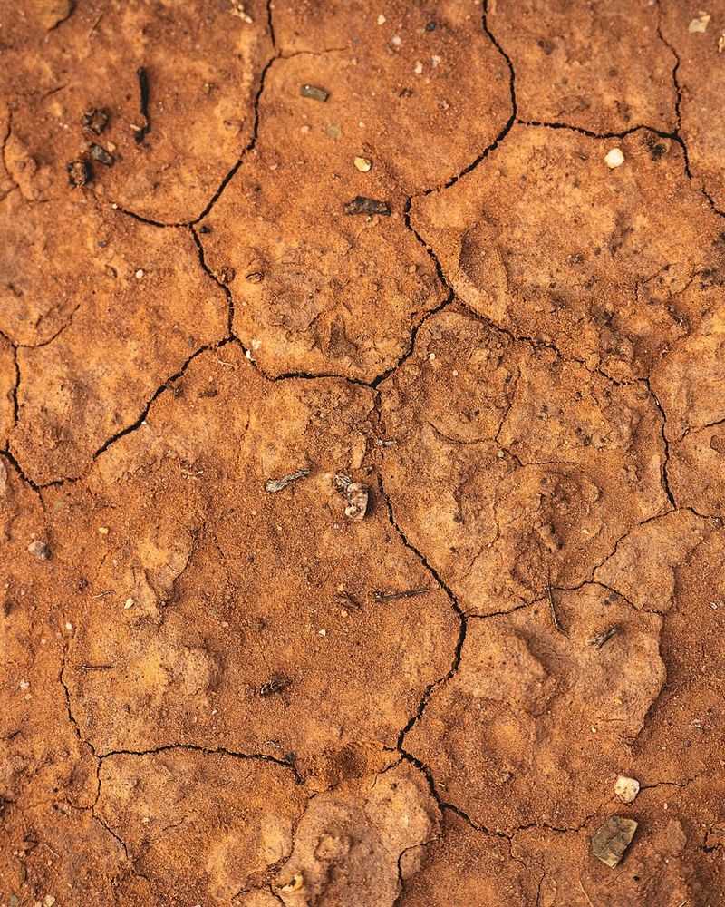 Salt Changes Soil Structure And Drainage